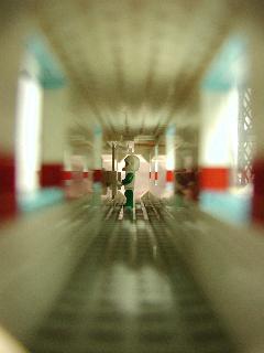 photo05.jpg