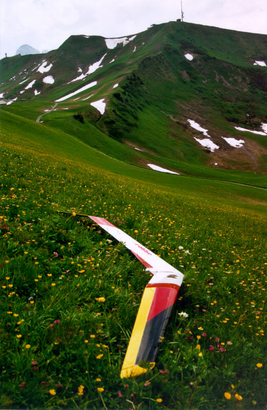 Planeur Vampire, statique