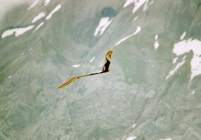 Planeur Vampire, en vol au Hannenmoos