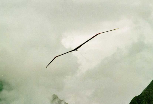 Planeur Vampire, en vol au Hannenmoos