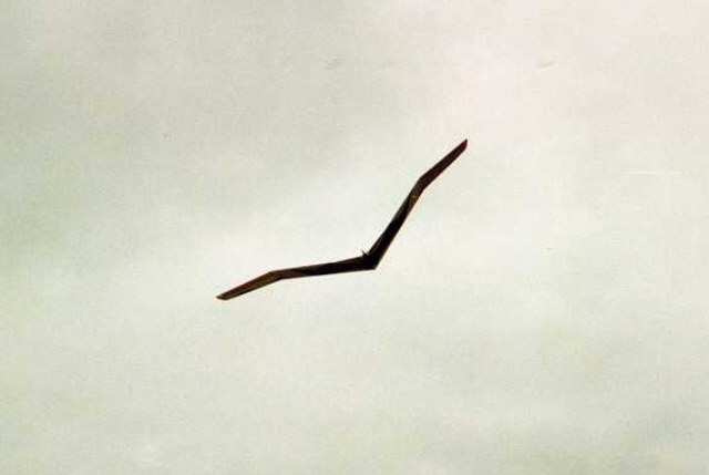 Planeur Vampire, en vol au Hannenmoos