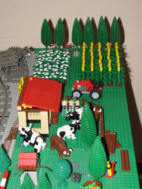 photo06.jpg