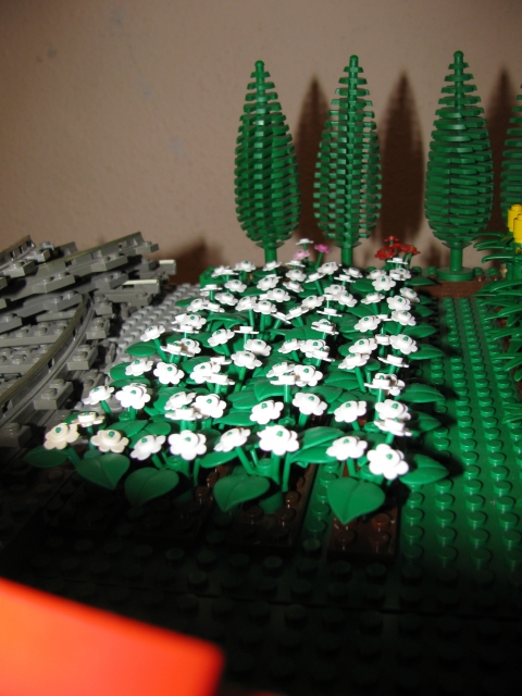 photo08.jpg